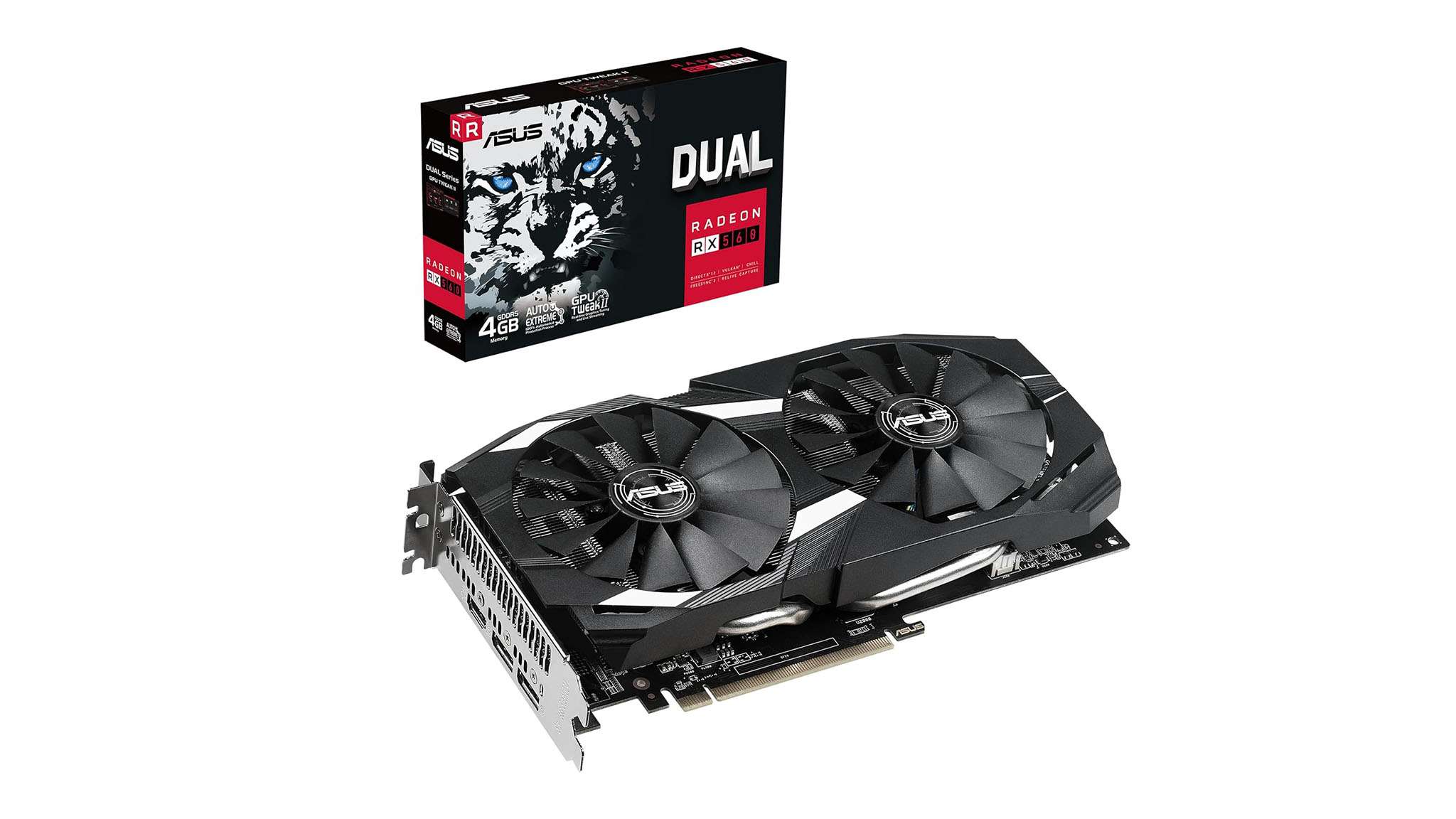 从葡萄牙殖 从葡萄牙殖